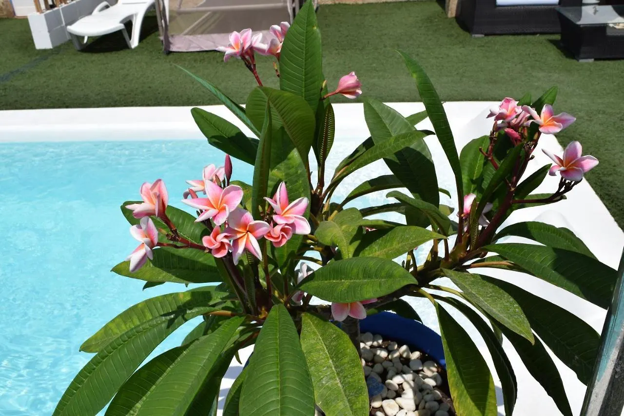 Apartamento Los Tochos Chiclana de la Frontera España