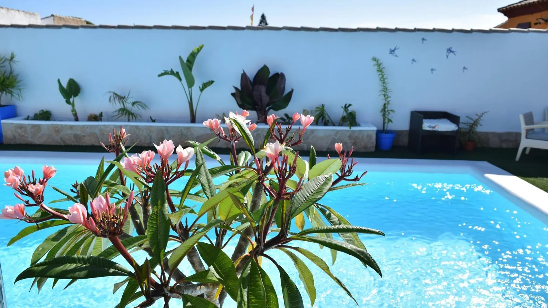 Los Tochos Chiclana de la Frontera Apartment