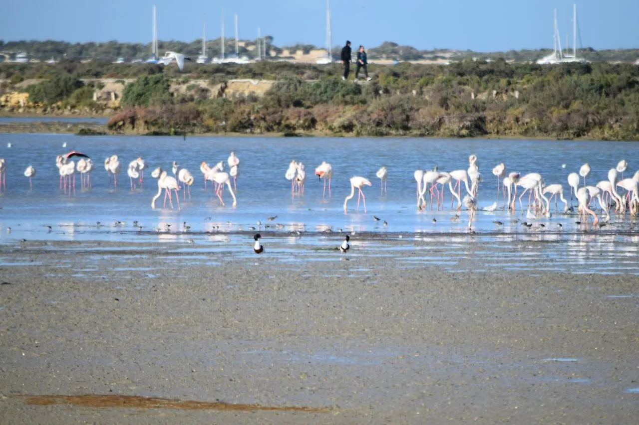 Los Tochos Chiclana de la Frontera Espagne
